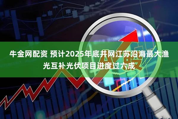 牛金网配资 预计2025年底并网江苏沿海最大渔光互补光伏项目进度过六成