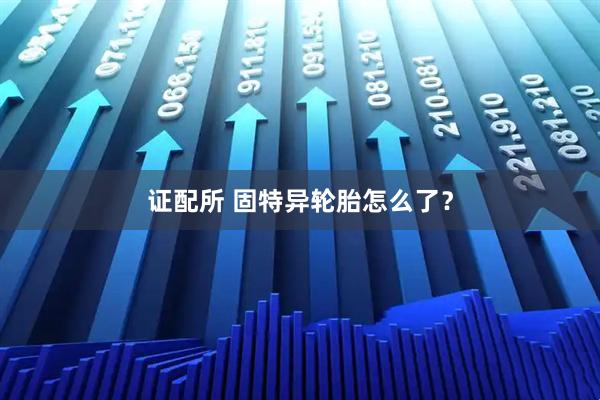 证配所 固特异轮胎怎么了?