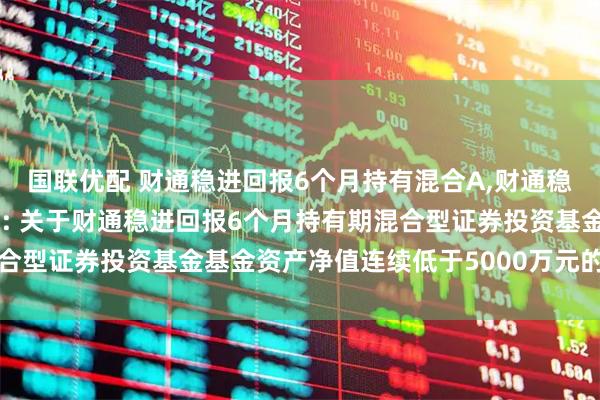 国联优配 财通稳进回报6个月持有混合A,财通稳进回报6个月持有混合C: 关于财通稳进回报6个月持有期混合型证券投资基金基金资产净值连续低于5000万元的提示性公告