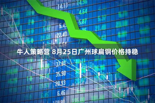 牛人策略营 8月25日广州球扁钢价格持稳