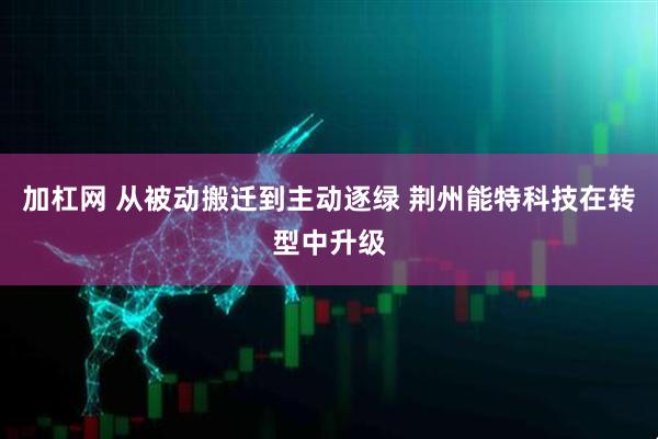 加杠网 从被动搬迁到主动逐绿 荆州能特科技在转型中升级